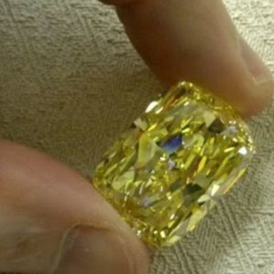 Meet your Posher, Susie